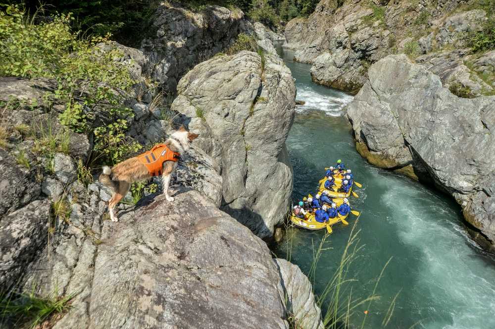 Rafting en las gargantas de Sesia con nuestra mascota Aria.