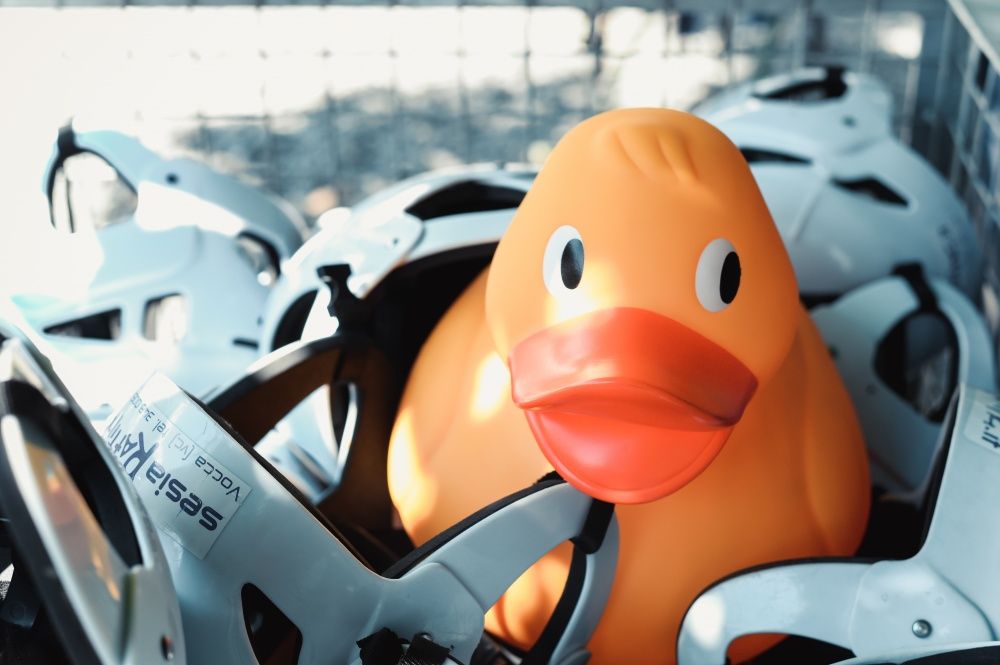 Find the Duck. Mascotte per la festa di Sesia Rafting asd