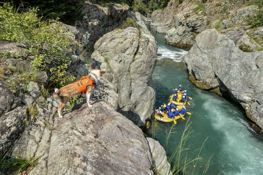 Rafting in the Sesia Gorges with our mascot Aria.