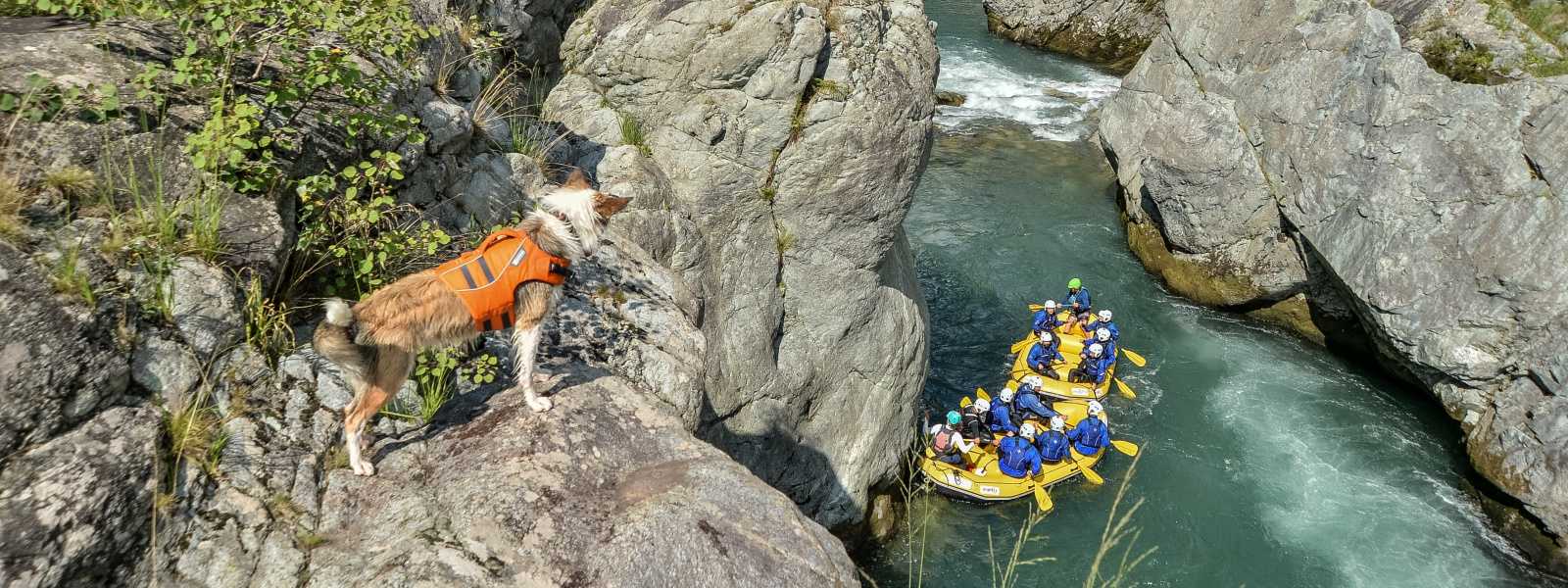 Rafting nelle Gole del Sesia con la nostra mascotte Aria